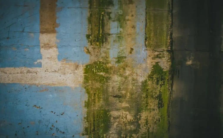 三芳町|DIYで挑戦!外壁の部分・一面塗装のコツやリスク、そして費用相場