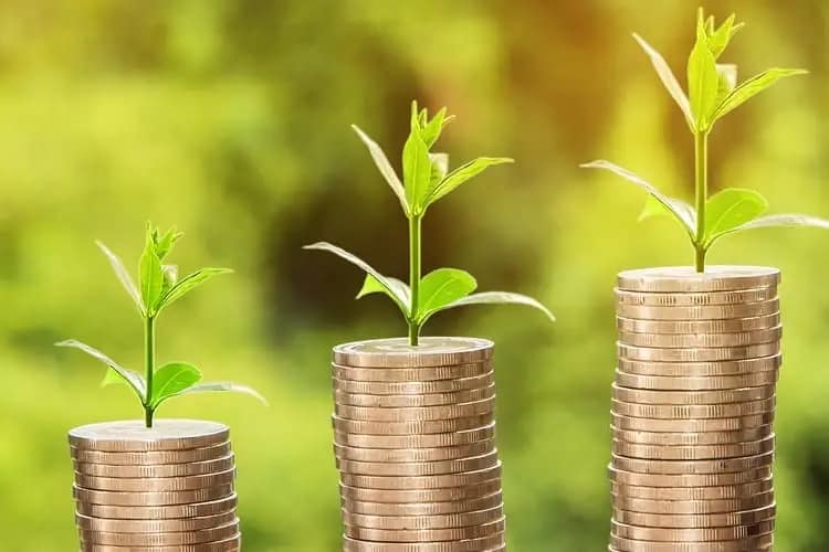 埼玉県志木市|外壁部分の損傷やひび割れ発生!迅速な少額補修が必要?02|外壁塗装工事|屋根塗装工事|外壁工事|屋根工事|CHIKAZAWA|所沢市、狭山市、川越市、東村山市の地域密着型施工会社|外壁工事、屋根工事、塗装工事、雨樋工事、内装工事を中心とした施工が得意な職人集団です!所沢市、狭山市、川越市、東村山市のお客様とお客様の住まいについて一緒に考えるアットホームな施工会社です。